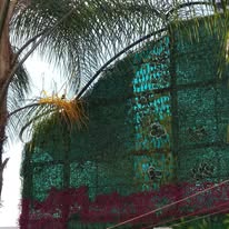 Muro verde en fachada
